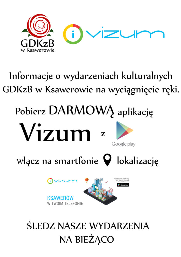 vizum 