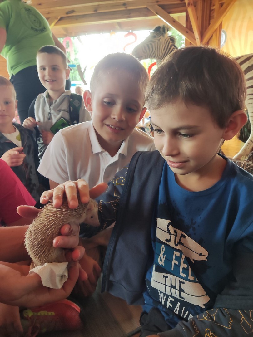 Jeżyk Chłopiec głaszcze jeża, dzieci się uśmiechają